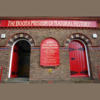 Days Out: Booth Museum