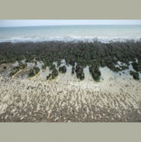 Secret Brighton: Rottingdean Beach