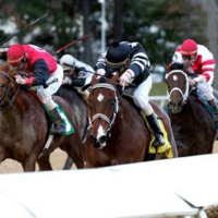 Teuflesberg outruns Hard Spun, English Channel breaks Gulfstream record, Steppenwolfer 