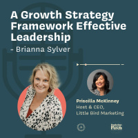 A Growth Strategy Framework for Effective Leadership