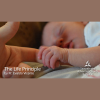 The Life Principle by Pr. Evaldo Vicente
