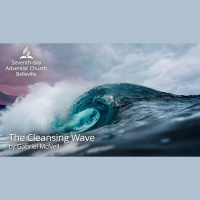 The Cleansing Wave by Gabriel McNeil