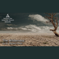 The Wilderness by Pr. Steven Couto