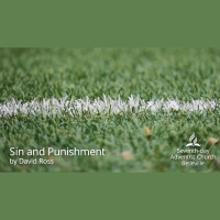 Sin And Punishment by David Ross