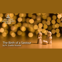 The Birth of a Saviour by Pr. Evaldo Vicente