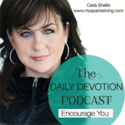 Carla Shellis In The Know By Sparkle Living