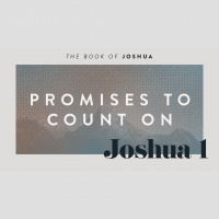 Promises To Count On