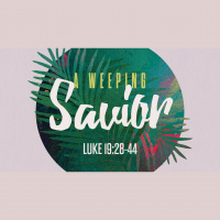 A Weeping Savior