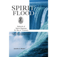 2:3 Spirit Flood: Rebirth of Spirit Baptism for the 21st Century AUDIO BOOK