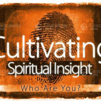 Cultivating Spiritual Insight - Week 3