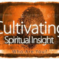 Cultivating Spiritual Insight - Week 4