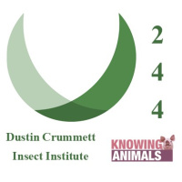 Episode 244: Insect farming with Dustin Crummett