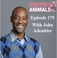 Episode 175: The rule of law for animals with John Adenitire