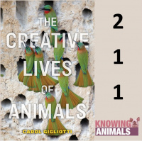 Episode 211: Animal Creativity with Carol Gigliotti