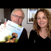 Episode 44: Domestic Dogs with James Serpell