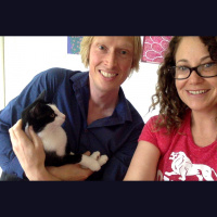 Protecting Animals 45: Jeroen van Kernebeek from Four Paws