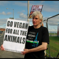 Protecting Animals 50: Roger Yates from the Animal Rights Show