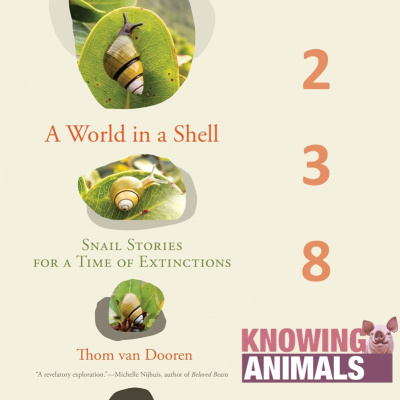 Knowing Animals