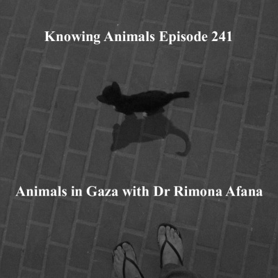Knowing Animals