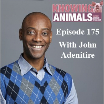 Knowing Animals