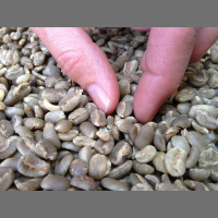 The good the Bad n the ...