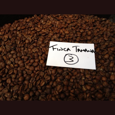 Coffeemumbojumbos Posts