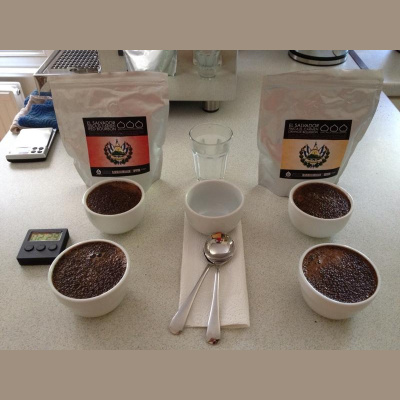 Coffeemumbojumbos Posts