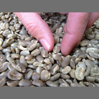 Coffeemumbojumbos Posts