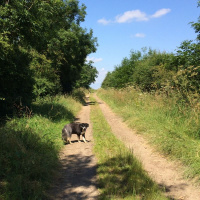 1689: Pondering a path less traveled.