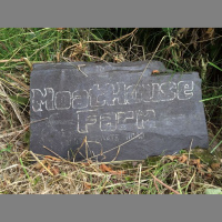 1833: Digging up pigs. Digging up memories.