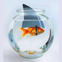 Podcast #49 - R U Effing Kidding Me?