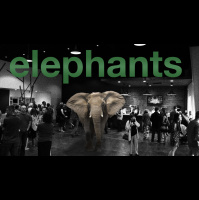 Elephants - The Sad and Lonely Elephant - Audio