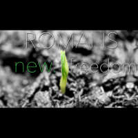 New.Freedom. - Audio