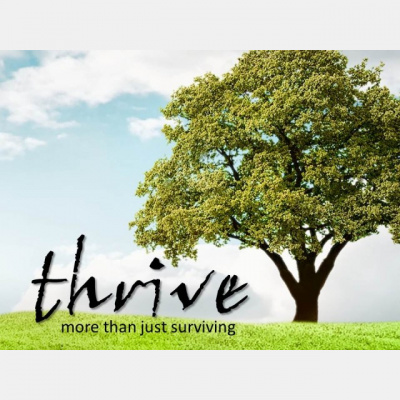 To The Point With Seth Alexander