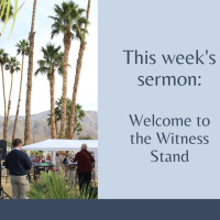 Episode 61: Peter 11 - Welcome to the Witness Stand