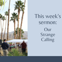 Episode 58: Peter 08 - Our Strange Calling