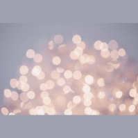 e493 — A VR Merry Holiday