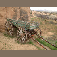 e513 — Not Dead Yet