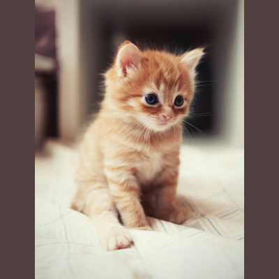 Games At Work Dot Biz