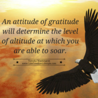 The Attitude of Gratitude is the Altitude of Your Life!