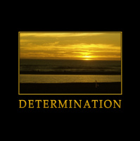 Determination