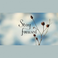 Stay Focused