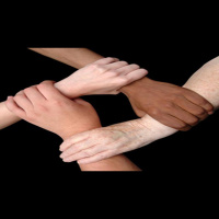 The Things We Have In Common