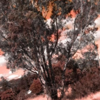 A walk and a talk that sounds like shit