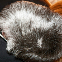 Going Gray with Christy Potter - On the death of my dad