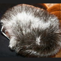 Going Gray with Christy Potter - with Guest Cam Bennett of TheWellWrittenWoman.com