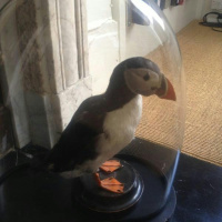 All the Devils Are Here by David Seabrook