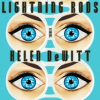 Lightning Rods by Helen DeWitt