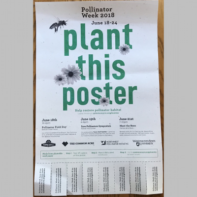 At Length With Steve Scher. - The House Of Podcasts