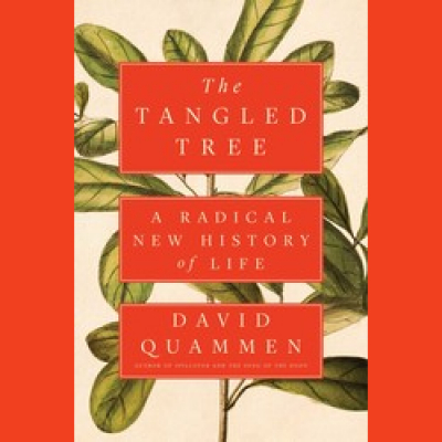 At Length With Steve Scher. - The House Of Podcasts